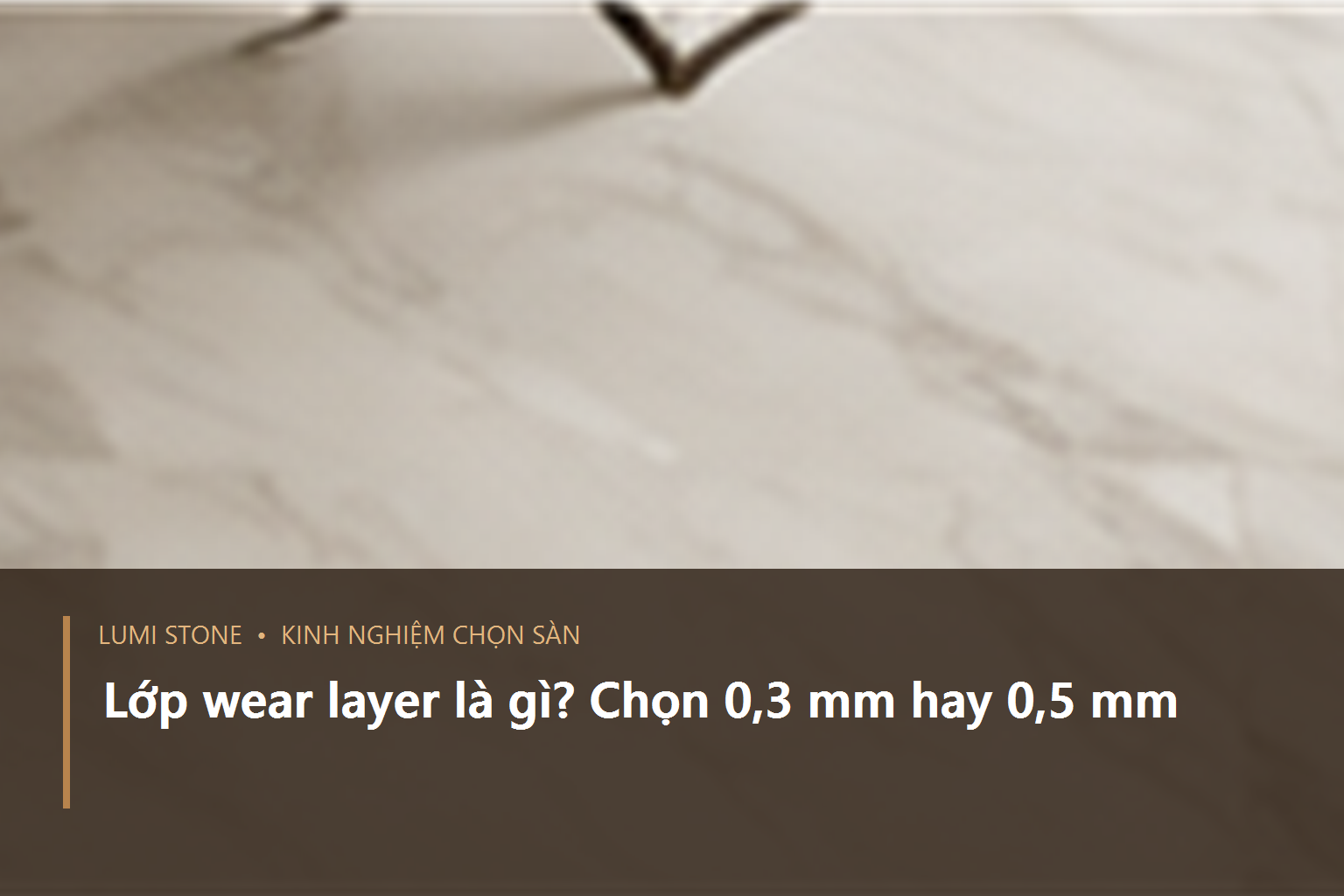 Minh họa hai mặt cắt sàn với lớp chống mài mòn 0,3 mm và 0,5 mm được đánh dấu riêng phía trên lớp vân.